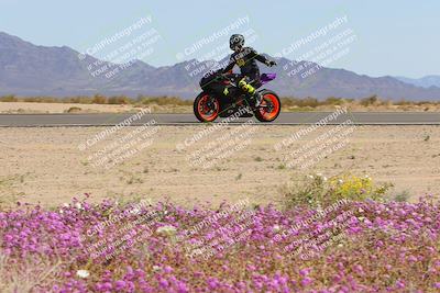 media/Mar-12-2023-SoCal Trackdays (Sun) [[d4c8249724]]/Turn 15 Inside Bloom (130pm)/